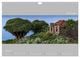 Thumbnail-12