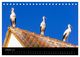 Thumbnail-12