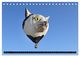 Thumbnail-8