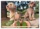 Thumbnail-9