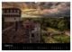 Thumbnail-10