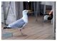 Thumbnail-9