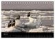 Thumbnail-11