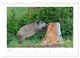 Thumbnail-11