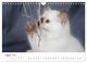 Thumbnail-13