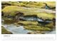 Thumbnail-12