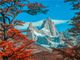 Thumbnail-2