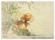 Thumbnail-10