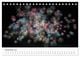 Thumbnail-13