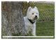 Thumbnail-12