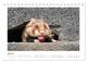 Thumbnail-12