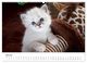 Thumbnail-9