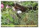 Thumbnail-9