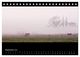 Thumbnail-14