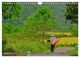 Thumbnail-12