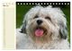 Thumbnail-10