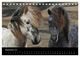 Thumbnail-14