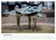 Thumbnail-12