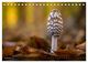 Thumbnail-14