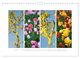 Thumbnail-9