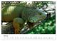 Thumbnail-9