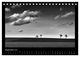 Thumbnail-14
