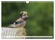 Thumbnail-12