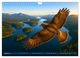 Thumbnail-10
