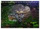 Thumbnail-4