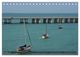 Thumbnail-12