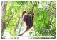 Thumbnail-12