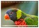 Thumbnail-8