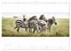 Thumbnail-8