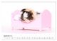 Thumbnail-14