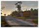 Thumbnail-13