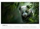 Thumbnail-12