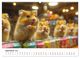 Thumbnail-10