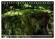 Thumbnail-8