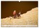 Thumbnail-12