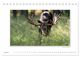 Thumbnail-11