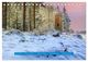 Thumbnail-4