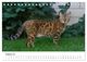 Thumbnail-10
