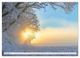 Thumbnail-14