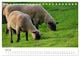 Thumbnail-12