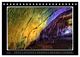 Thumbnail-12