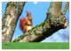 Thumbnail-8