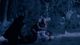 Thumbnail-11