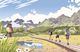 Thumbnail-13