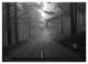 Thumbnail-11