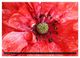 Thumbnail-10
